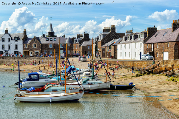 Stonehaven harbour Picture Board by Angus McComiskey