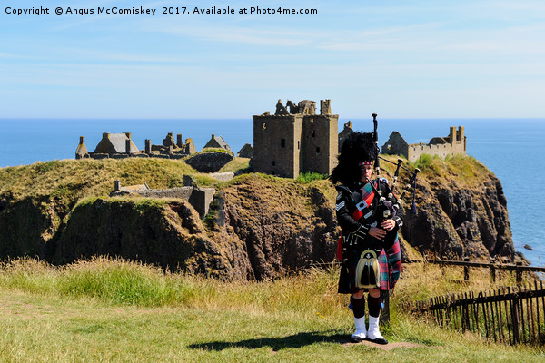 Piper at Dunnottar Castle Picture Board by Angus McComiskey