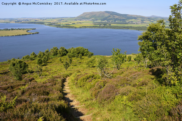 Footpath leading to viewpoint on Benarty Hill Picture Board by Angus McComiskey