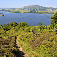 Buy canvas prints of Footpath leading to viewpoint on Benarty Hill by Angus McComiskey