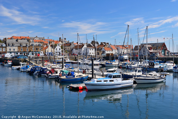Anstruther marina Picture Board by Angus McComiskey
