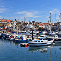 Buy canvas prints of Anstruther marina by Angus McComiskey