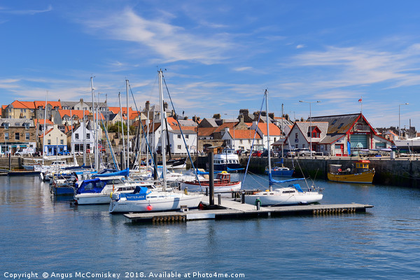 Anstruther harbour in East Neuk of Fife, Scotland Picture Board by Angus McComiskey