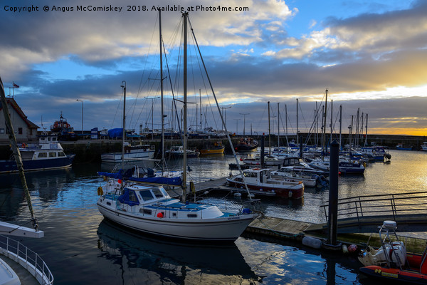 Sunset over Anstruther harbour Picture Board by Angus McComiskey