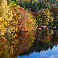 Buy canvas prints of Colourful boats on Loch Faskally by Angus McComiskey