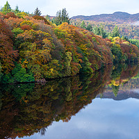 Buy canvas prints of Autumn reflections on Loch Faskally by Angus McComiskey