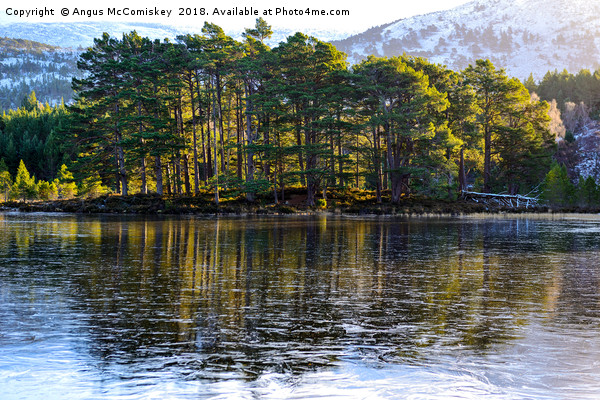 Frozen Loch an Eilein Picture Board by Angus McComiskey