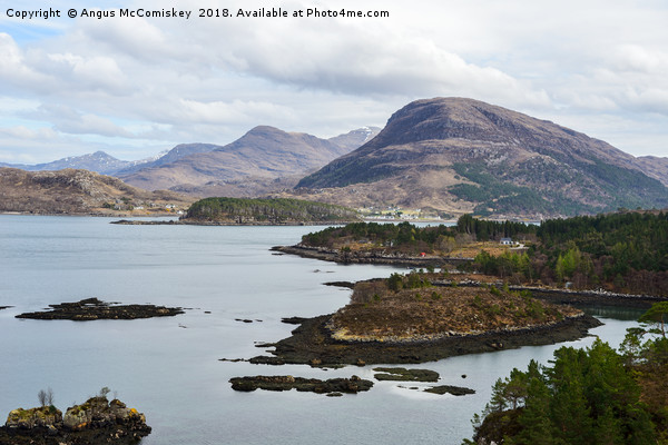 View across Loch Shieldaig to Torridon Mountains Picture Board by Angus McComiskey