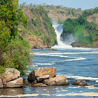 Buy canvas prints of Murchison Falls from the Victoria Nile in Uganda by Angus McComiskey
