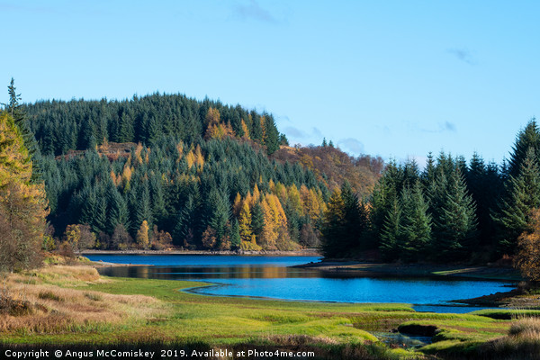 Autumn colours, Loch Drunkie, Trossachs Picture Board by Angus McComiskey