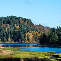 Buy canvas prints of Autumn colours, Loch Drunkie, Trossachs by Angus McComiskey