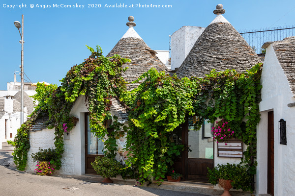 Trulli house in Alberobello Picture Board by Angus McComiskey