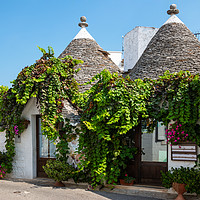 Buy canvas prints of Trulli house in Alberobello by Angus McComiskey