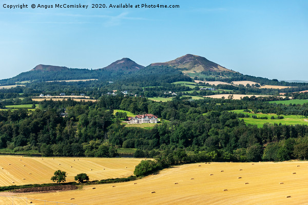 Eildon Hills, Scottish Borders Picture Board by Angus McComiskey