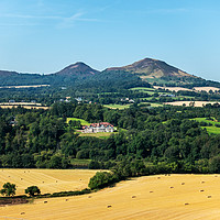 Buy canvas prints of Eildon Hills, Scottish Borders by Angus McComiskey