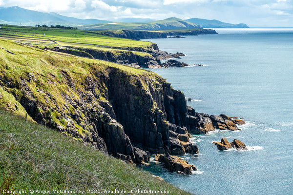 Sea cliffs at Dun Beag on Dingle Peninsula Picture Board by Angus McComiskey