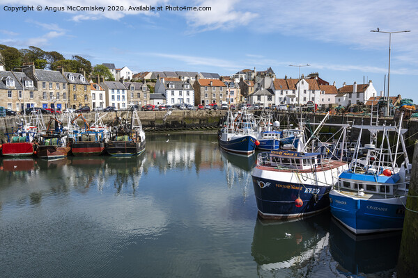 Pittenweem Harbour Picture Board by Angus McComiskey