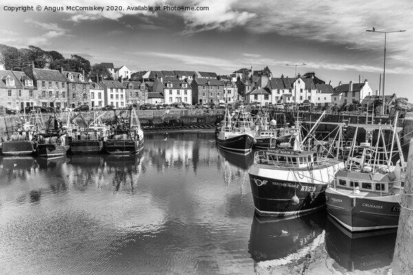 Pittenweem Harbour mono Picture Board by Angus McComiskey