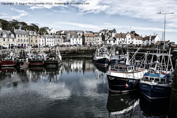 Pittenweem harbour Picture Board by Angus McComiskey