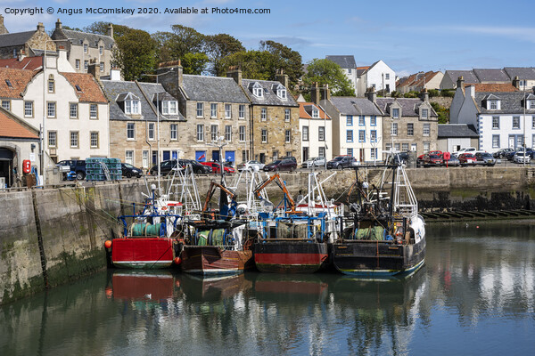 Fishing boats in Pittenweem Harbour Picture Board by Angus McComiskey