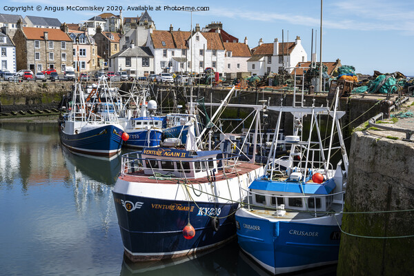 Fishing boats moored in Pittenweem Harbour Picture Board by Angus McComiskey
