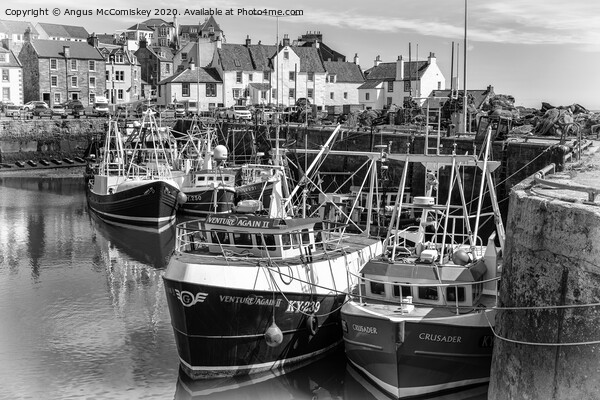 Fishing boats moored in Pittenweem Harbour mono Picture Board by Angus McComiskey