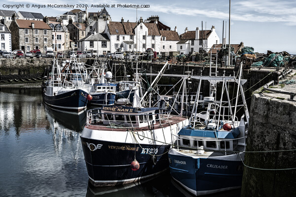 Fishing boats moored in Pittenweem Harbour Picture Board by Angus McComiskey