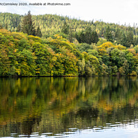 Buy canvas prints of Autumn colours on Loch Faskally by Angus McComiskey