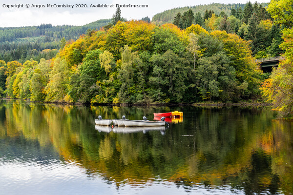 Boats moored on Loch Faskally Picture Board by Angus McComiskey