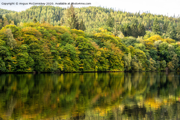 Autumn reflections on Loch Faskally Picture Board by Angus McComiskey