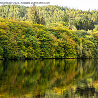 Buy canvas prints of Autumn reflections on Loch Faskally by Angus McComiskey