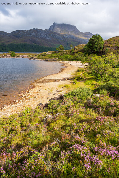 Sandy beach on Loch Maree Picture Board by Angus McComiskey