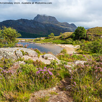 Buy canvas prints of Purple heather along shoreline of Loch Maree by Angus McComiskey