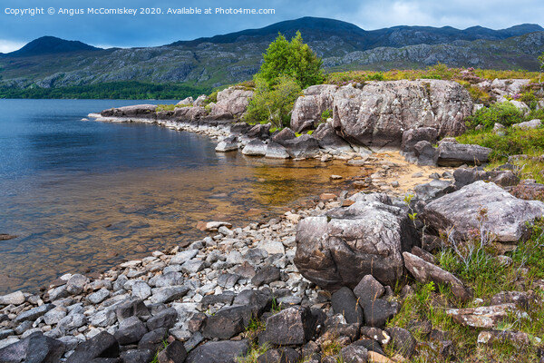 Rocky shoreline of Loch Maree Picture Board by Angus McComiskey