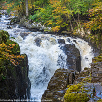 Buy canvas prints of Black Linn Waterfall in autumn  by Angus McComiskey