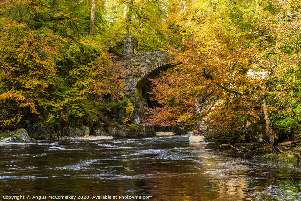 Stone bridge over River Braan at the Hermitage  Picture Board by Angus McComiskey