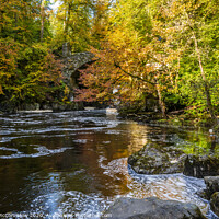 Buy canvas prints of River Braan in autumn by Angus McComiskey