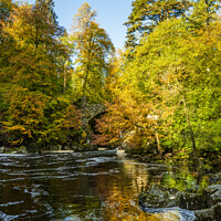 Buy canvas prints of River Braan autumn colours by Angus McComiskey