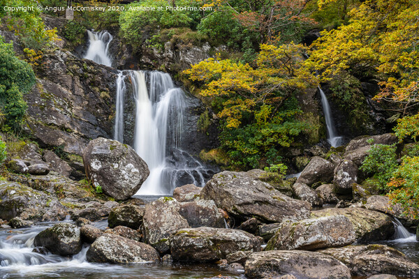 Inversnaid Falls in autumn Picture Board by Angus McComiskey