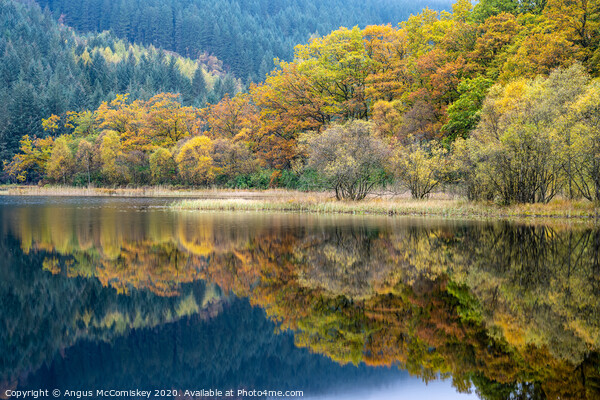 Autumn reflections on Loch Chon Picture Board by Angus McComiskey