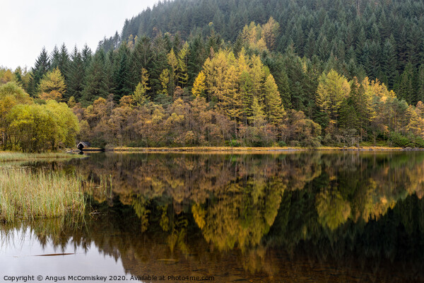 Loch Chon in autumn Picture Board by Angus McComiskey