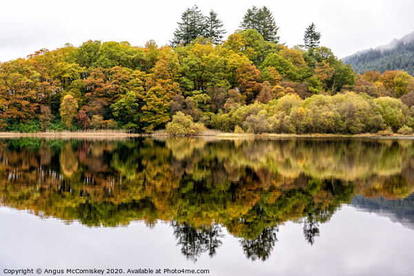 Colourful reflections on Loch Chon Picture Board by Angus McComiskey