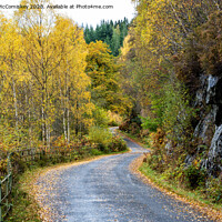 Buy canvas prints of Winding road by Loch Katrine by Angus McComiskey
