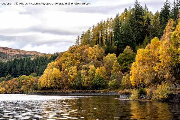 Autumn colours on Loch Katrine Picture Board by Angus McComiskey