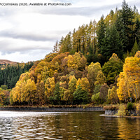 Buy canvas prints of Autumn colours on Loch Katrine by Angus McComiskey
