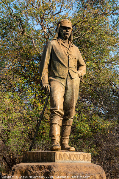 Statue of David Livingstone at Victoria Falls Picture Board by Angus McComiskey
