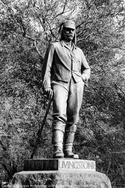 Statue of David Livingstone at Victoria Falls mono Picture Board by Angus McComiskey