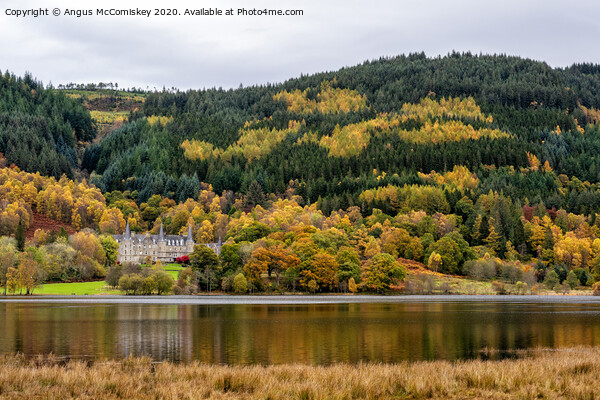 Autumn view across Loch Achray Picture Board by Angus McComiskey