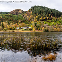 Buy canvas prints of Loch Chon reeds by Angus McComiskey