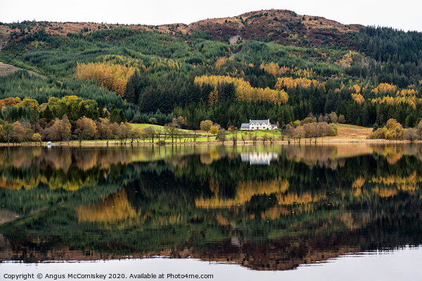 Loch Chon calm reflections Picture Board by Angus McComiskey